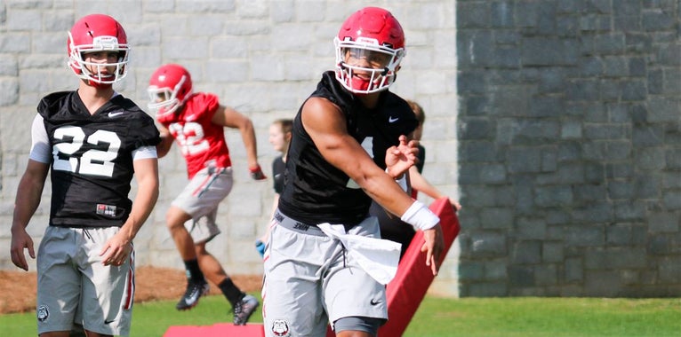 Terry Godwin, Georgia, Wide Receiver