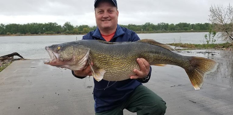 Angler Catches North Dakota State Record Walleye Angler Catches North Dakota State Record Walleye
